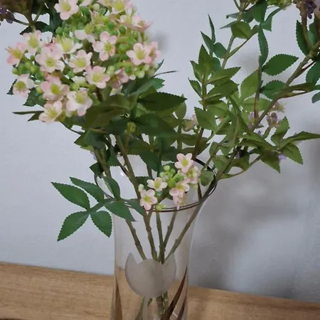 Apartment Neva With Free Private Parking Space Split