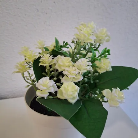 Neva With Free Private Parking Space *